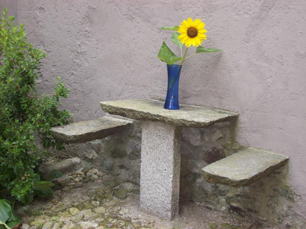 Appartamenti Ca Di Pom Omegna Bagian luar foto
